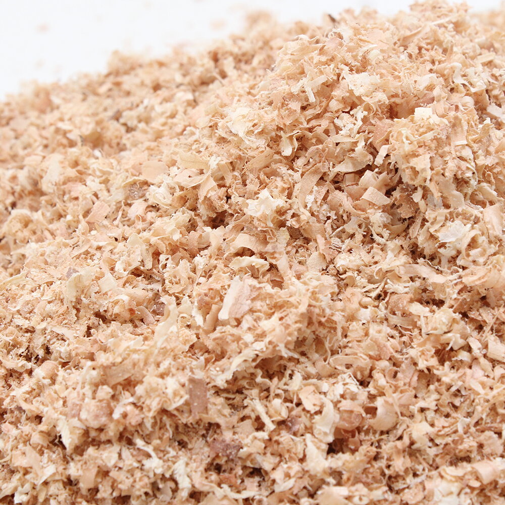 ���ʤ��ʿ��ռ����åס�5L�������ѡ����֥ȥॷ�����塞��������������