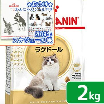 ロイヤルカナン 猫 ラグドール 2kg ジップ付 スケジュール帳おまけ付【HLS_DU】 関東当日便