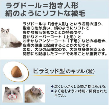 ロイヤルカナン 猫 ラグドール 2kg ジップ付 スケジュール帳おまけ付【HLS_DU】 関東当日便