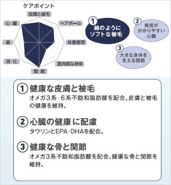 ロイヤルカナン 猫 ラグドール 2kg ジップ付 スケジュール帳おまけ付【HLS_DU】 関東当日便