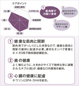 ロイヤルカナン 猫 ブリティッシュ ショートヘア 2kg ジップ付 スケジュール帳おまけ付【HLS_DU】 関東当日便