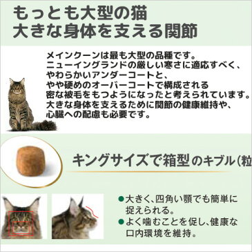 ロイヤルカナン 猫 メインクーン 成猫用 2Kg ジップ付 スケジュール帳おまけ付【HLS_DU】 関東当日便