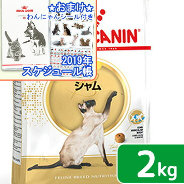 ロイヤルカナン 猫 シャム 成猫用 1〜12歳まで 2kg ジップ付 スケジュール帳おまけ付【HLS_DU】 関東当日便