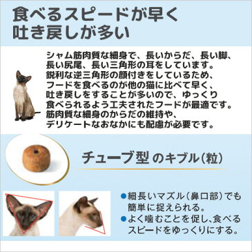 ロイヤルカナン 猫 シャム 成猫用 1〜12歳まで 2kg ジップ付 スケジュール帳おまけ付【HLS_DU】 関東当日便