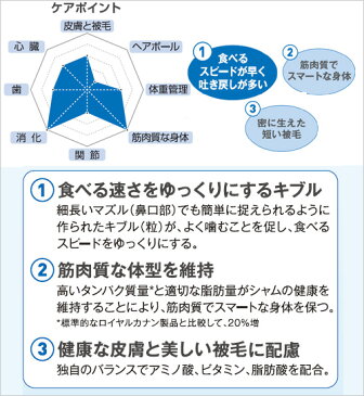 ロイヤルカナン 猫 シャム 成猫用 1〜12歳まで 2kg ジップ付 スケジュール帳おまけ付【HLS_DU】 関東当日便