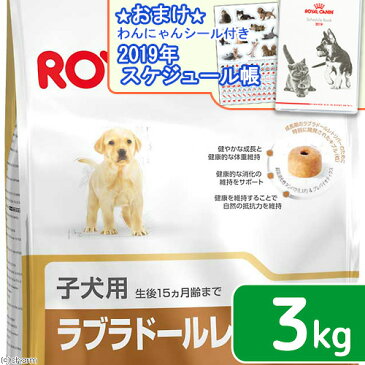 ロイヤルカナン　ラブラドールレトリバー　子犬用　3kg　ジップ付　スケジュール帳おまけ付【HLS_DU】　関東当日便