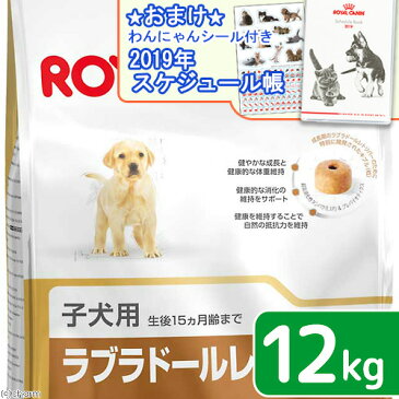 ロイヤルカナン　ラブラドールレトリバー　子犬用　12kg　沖縄別途送料　スケジュール帳おまけ付【HLS_DU】　関東当日便