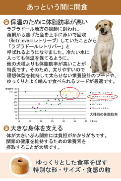 ロイヤルカナン　ラブラドールレトリバー　子犬用　12kg　沖縄別途送料　スケジュール帳おまけ付【HLS_DU】　関東当日便