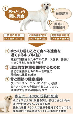 ロイヤルカナン　ラブラドールレトリバー　子犬用　12kg　沖縄別途送料　スケジュール帳おまけ付【HLS_DU】　関東当日便