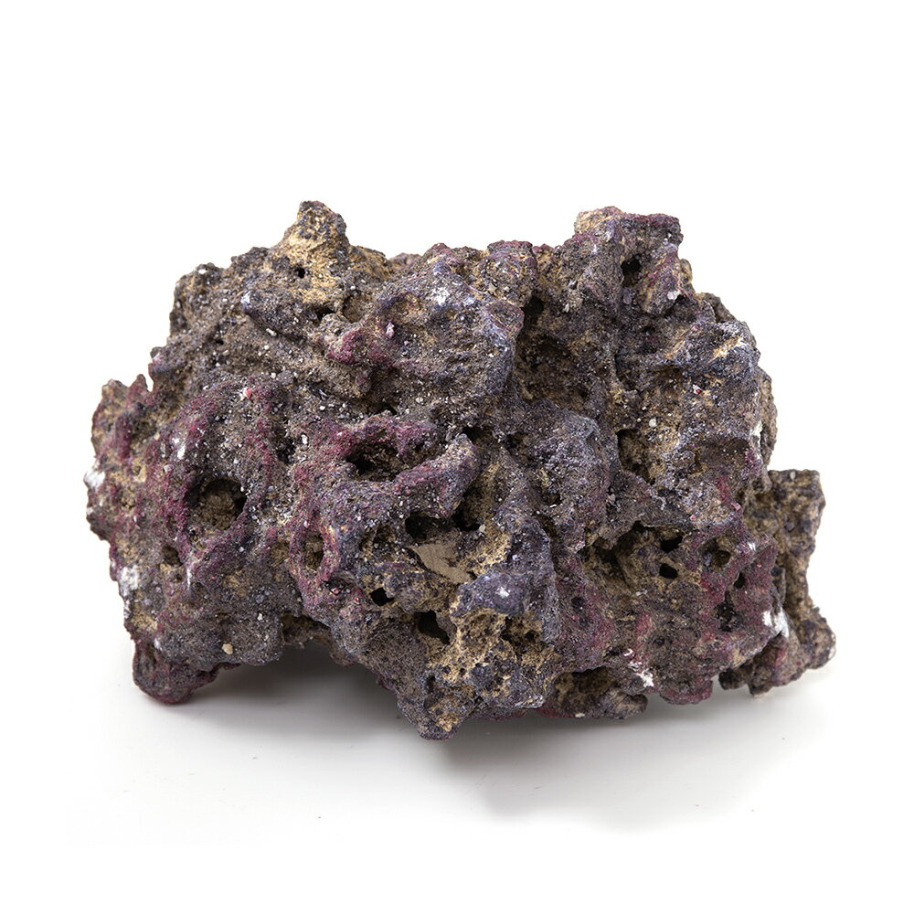 カミハタ　カリブシー　ライフロック　シェルフ　1個　関東当日便