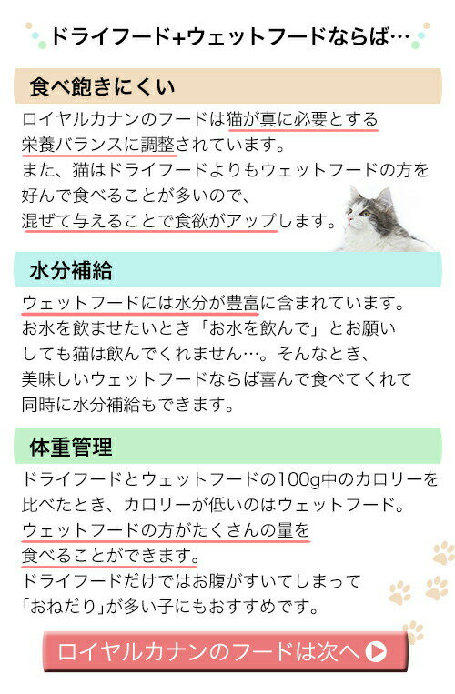 ロイヤルカナン　猫　毛玉が気になる猫セット　ヘアボールケア　ドライフード400g　＋　パウチ85g×12袋　お一人様5点限り　関東当日便