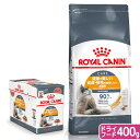 ロイヤルカナン　猫　皮膚・被毛のケアセット　ドライフード400g　＋　パウチ85g×12袋　お一人様5点限り【HLS_DU】　関東当日便