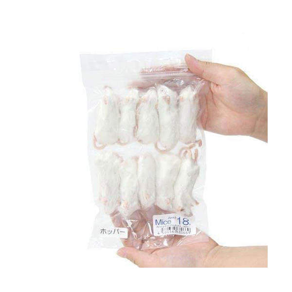 冷凍★ホッパー カタ養殖 Mice18 冷凍マウス（10匹） パック ×3 別途クール手数料