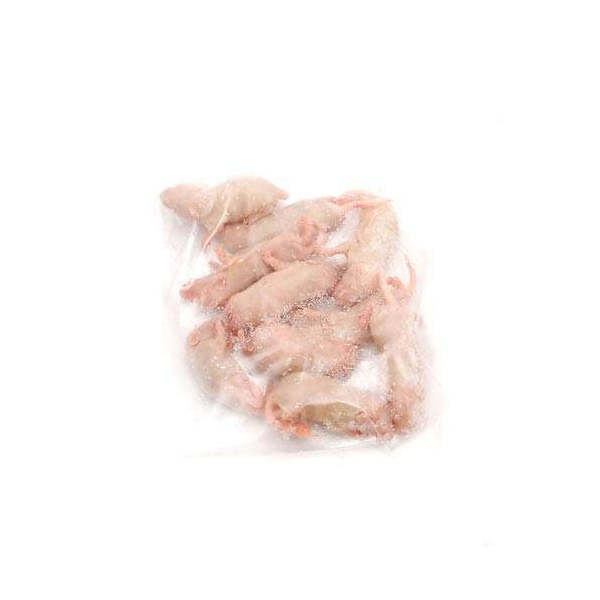 冷凍★富城 ピンクマウスL（10匹）×5（約4cm）冷凍マウス 別途クール手数料