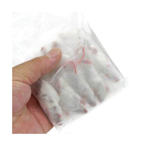 冷凍★富城 ファジーマウス（10匹） ×3（約5.5cm） 冷凍マウス 別途クール手数料