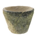 多肉植物 アンティークポット 直径10×7.5cm 黒 モスポット スタンダード 関東当日便