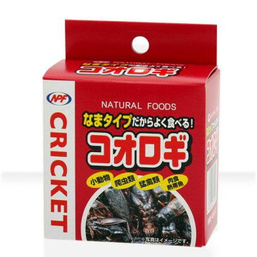 NPF　コオロギ（缶入り）　40g　2個入り　両生類・爬虫類　ハリネズミ　フード　餌　エサ　缶詰　関東当日便