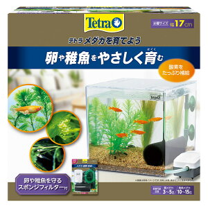 テトラ　メダカを育てよう　初心者　お一人様5点限り　メダカ　室内　飼育セット　水槽　関東当日便