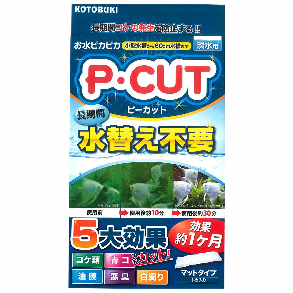 コトブキ工芸 kotobuki Pカット マット60 コケ防止 1か月