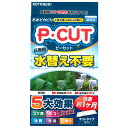 コトブキ工芸 P・カット マット60 コケ防止 1か月 関東当日便
