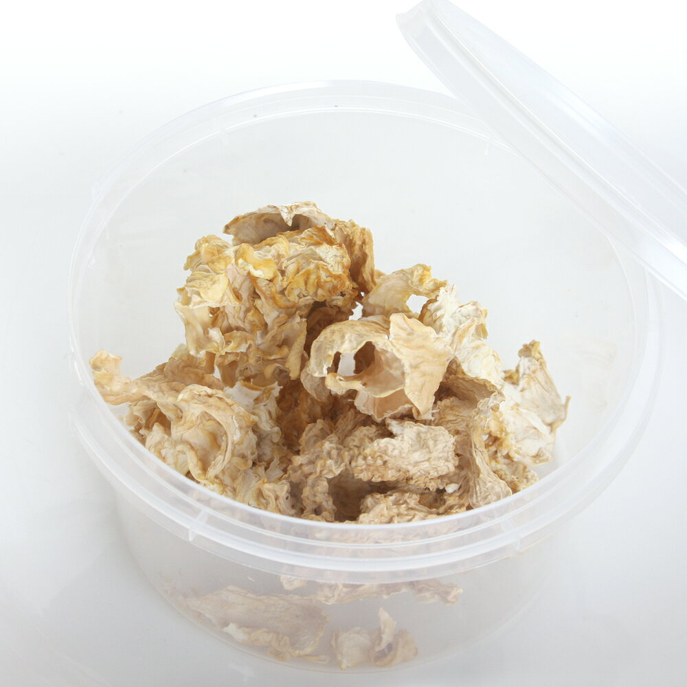 国産　ハナビラタケ　天然サプリメント　カップタイプ　15g　小動物用　関東当日便 chanet-10848616 charm 楽天市場店 サンプル画像2