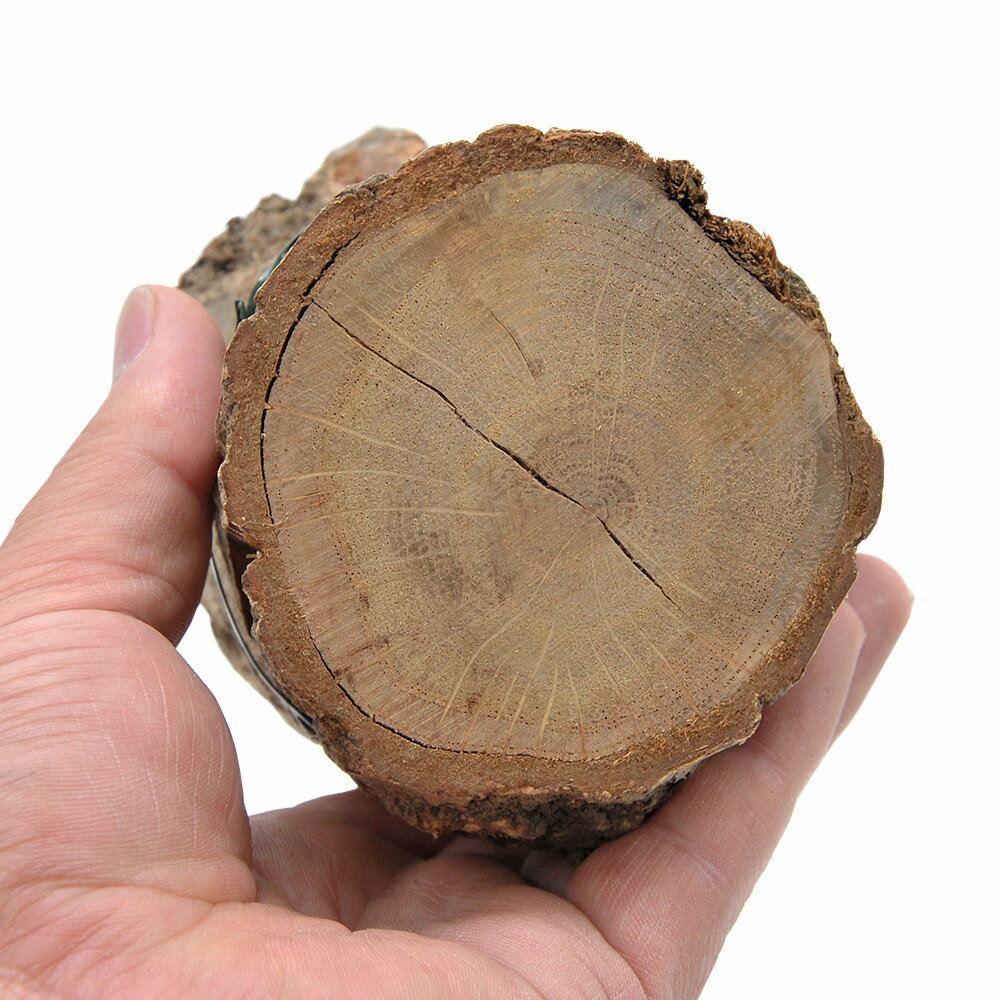 �ߥ��ˡ�AJITO�������ȡ����������Ф��ڡ��ߤޤ��ڡ�ž���ɻߺޡ�����������