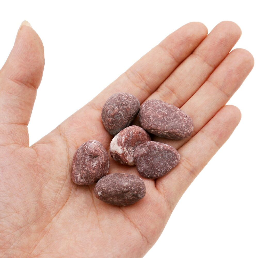 �����ȥ�å��ʡ�GEX���ܥȥꥦ�ॹ�ȡ��󡡥�åɡ������ꡡ����������