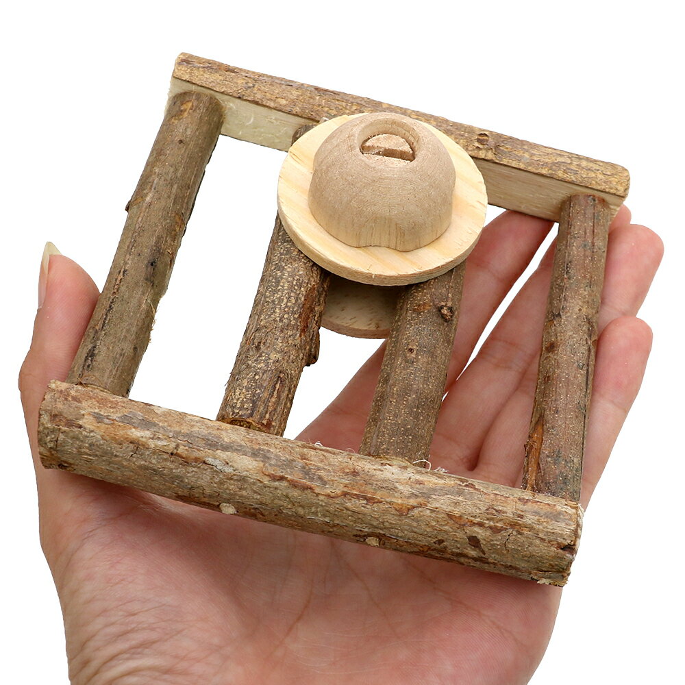 ��桡���������ե��󥹡�SS�������������������ѡ��ġ�����������