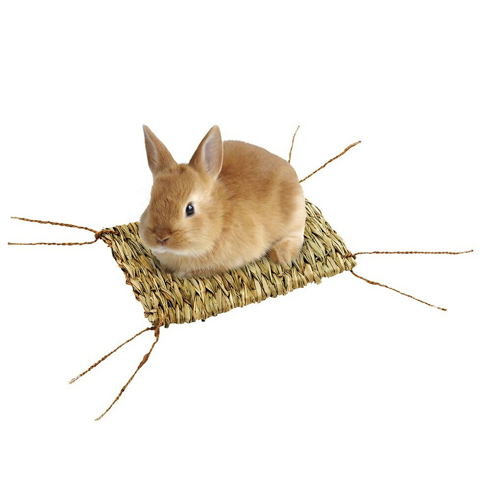 �ޥ륫�󡡤��������μ����ɥޥåȡ�M����ưʪ������ޥåȡ���������