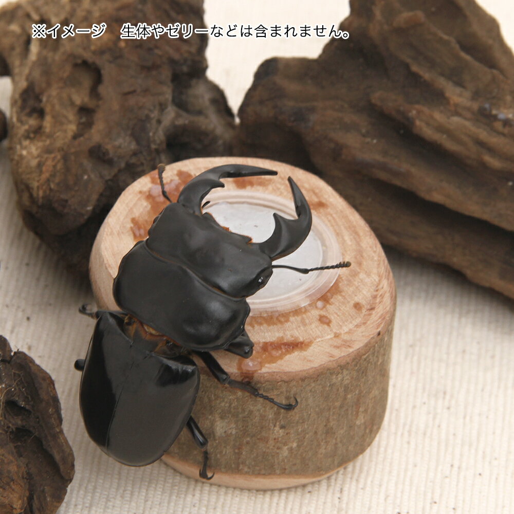 �������꡼����16g��1���ѡ�����������