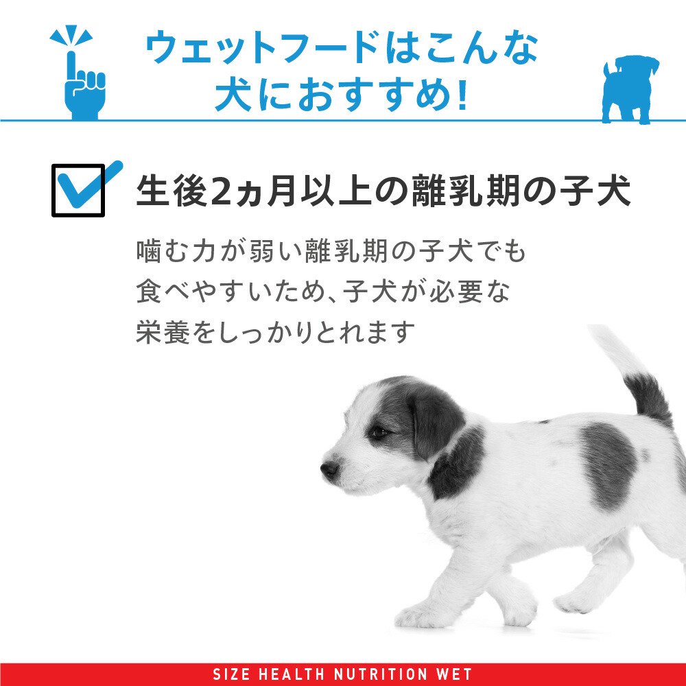 サンプル画像3