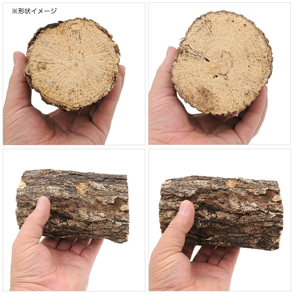 �����ڡ����̥�������7��5��12cm������������