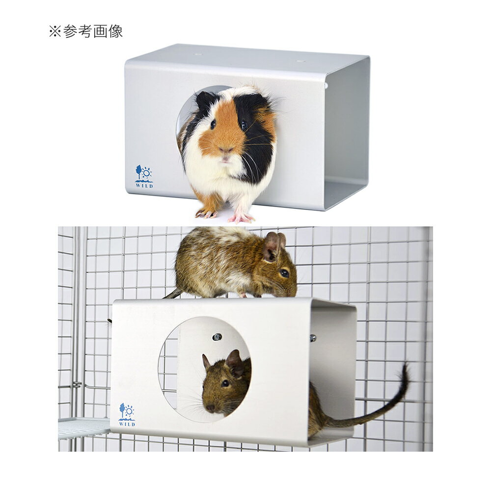 【5/1限定】当選確率2分の1!1等最大100...の紹介画像3