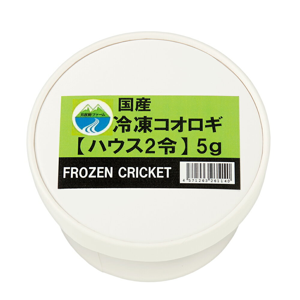 冷凍★ハウスクリケット　2令　5g　月夜野ファーム　別途クール手数料　常温商品同梱不可