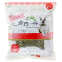 アラタ 若草一番 ソフトミックス 500g 牧草 フード 小動物 関東当日便