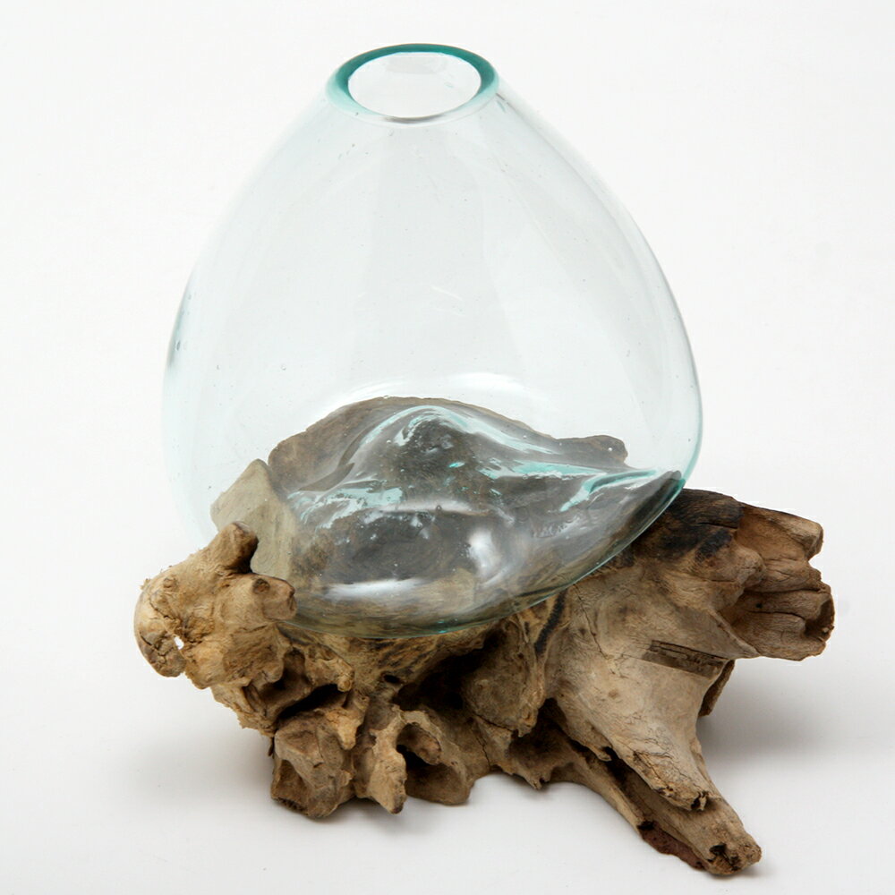 一点物 ラウンドガラス 流木スタンド付（239483）コケ テラリウム ガラス インテリア 瓶