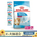 ロイヤルカナン　子犬用（生後10カ月齢まで）　ウェット3袋　＋　ミニインドア2kg　ジップ付　関東当日便