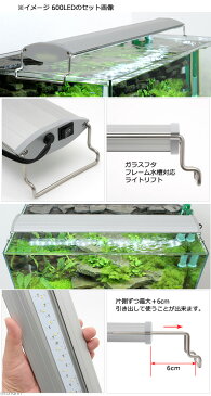 30cmキューブ水槽セット 手軽に小型熱帯魚飼育!アクアリウム用品(水槽・LEDライト&他5点)プロ推奨・初めての飼育セット 沖縄別途送料 関東当日便