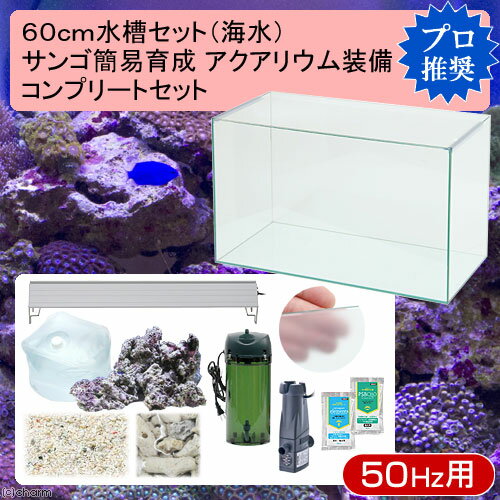 60cm水槽セット サンゴ簡易育成コンプリート 海水アクアリウム（水槽＆他11点）プロ推奨セット 東日本用