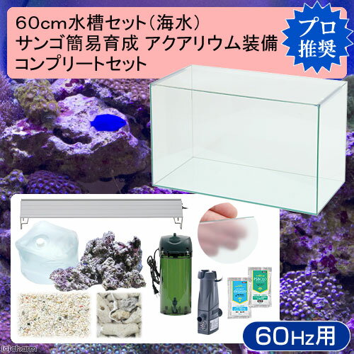 60cm水槽セット サンゴ簡易育成コンプリート 海水アクアリウム（水槽＆他11点）プロ推奨セット 西日本用