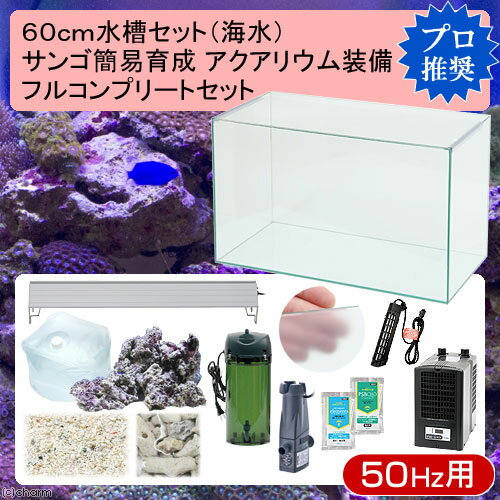 60cm水槽セット サンゴ簡易育成フルコンプリート 海水アクアリウム（水槽＆他13点）プロ推奨セット 東日本用