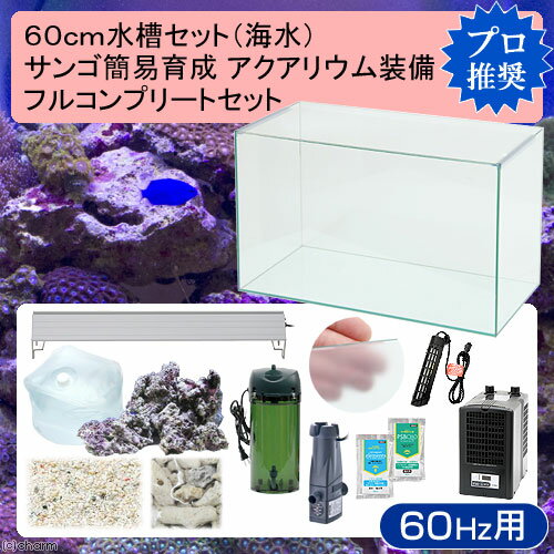 60cm水槽セット サンゴ簡易育成フルコンプリート 海水アクアリウム（水槽＆他13点）プロ推奨セット 西日本用