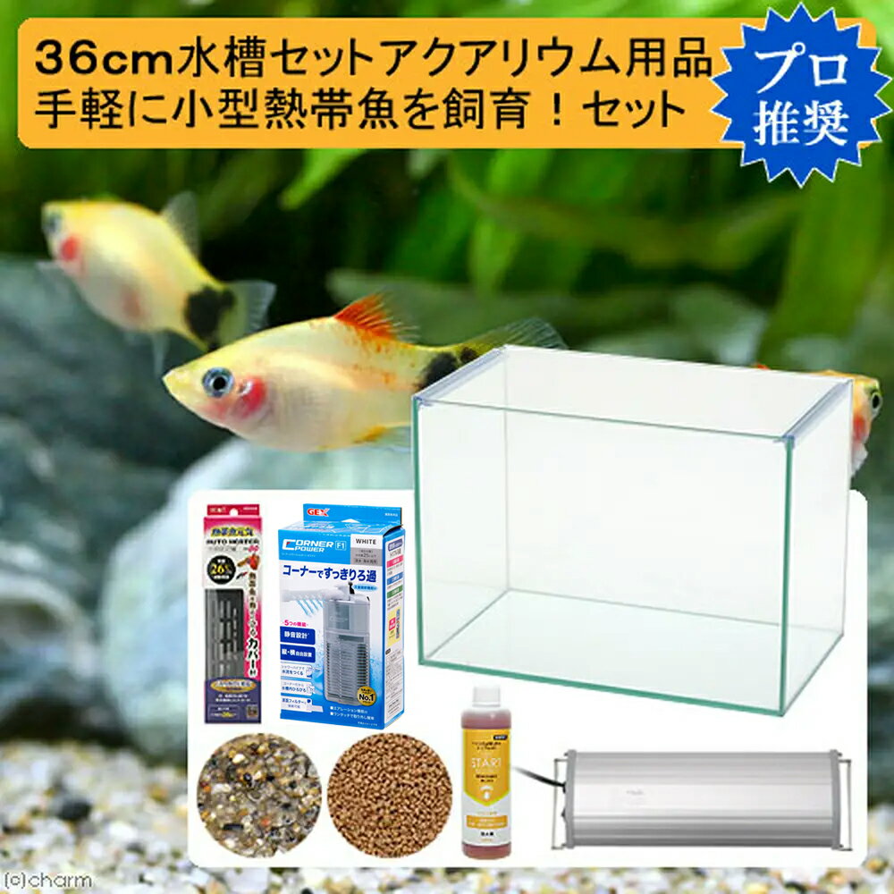 36cm水槽セット 手軽に小型熱帯魚飼育!アクアリウム用品（水槽LEDライト＆他5点）プロ推奨初めての飼育セット