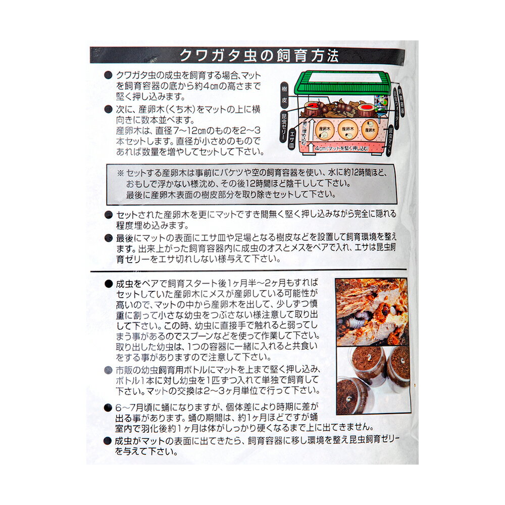 �ե����󡡺���ޥåȡ����̤������ޥåȡ�10L�����֥ȥॷ�����塞����������顡���񡡤������5���¤ꡡ����������