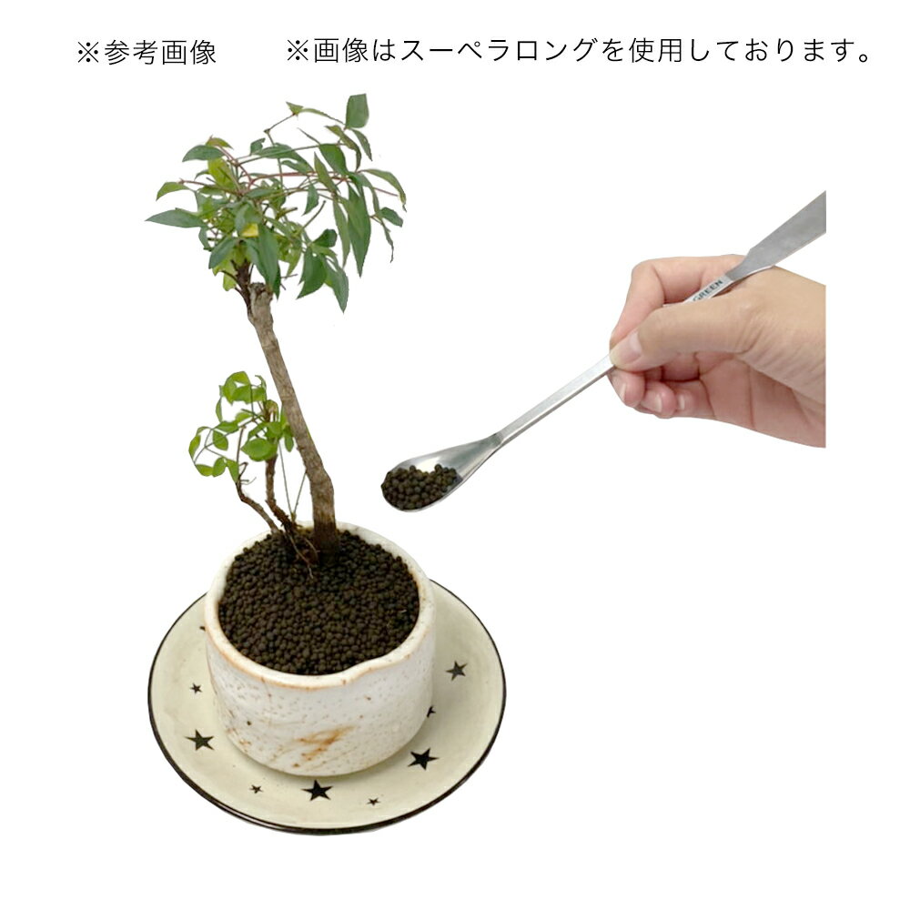 JUN J.GREEN スーペラ ショート 関...の紹介画像2