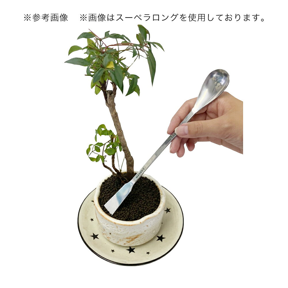 JUN J.GREEN スーペラ ショート 関...の紹介画像3