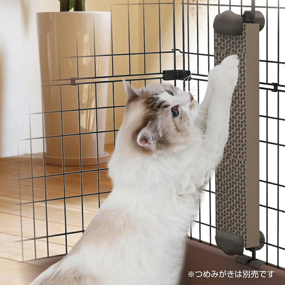 �ڥƥ�����necoco���Ĥ�ߤ����ۥ����������������