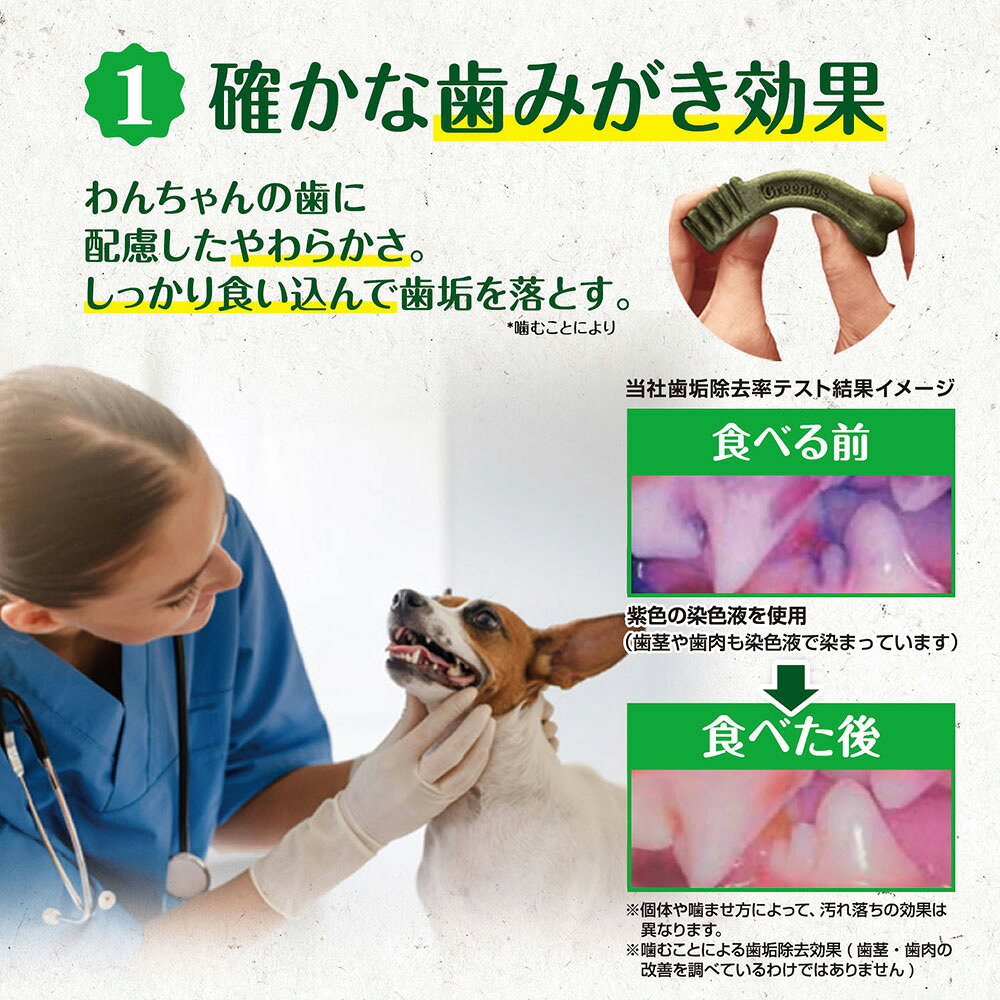 サンプル画像3