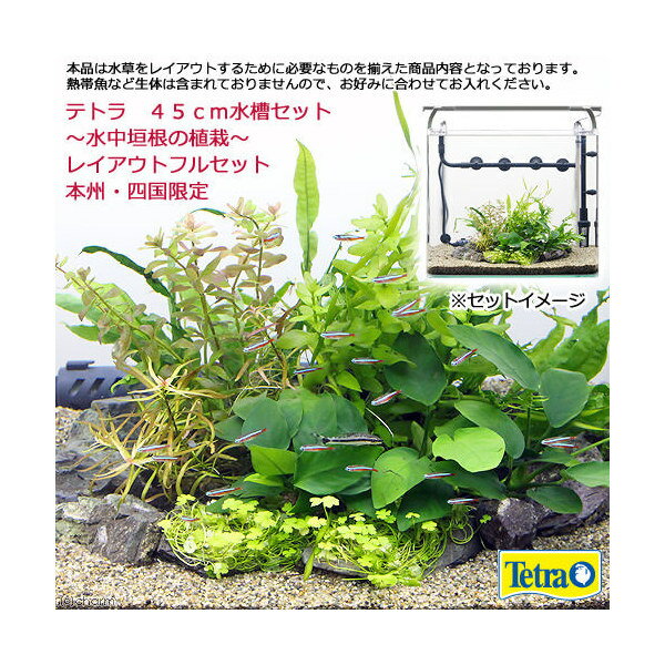 テトラ 45cm水槽セット ~水中垣根の植栽~ レイアウトフルセット