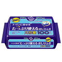 アクティ　トイレに流せる　たっぷり使えるおしりふき　100枚【HLS_DU】　関東当日便 1